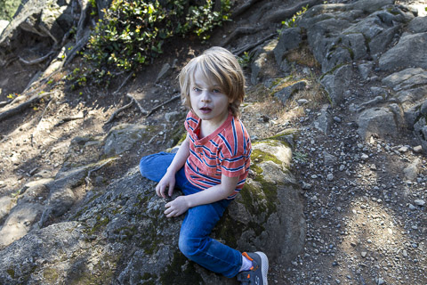 Family Photos — photo 11